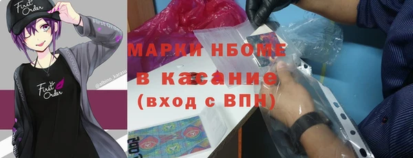 прущие грибы Майский
