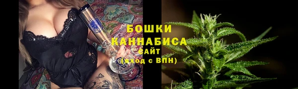 твердый Магас
