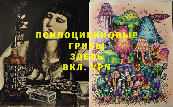 твердый Магас