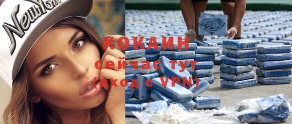 прущие грибы Майский