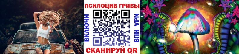 Галлюциногенные грибы Psilocybe  Купить  Бирюч 